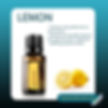 Lemon Oil Marlene.jpg